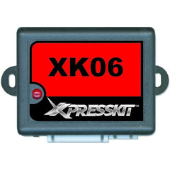 Xpresskit Xk06 Gm(tm) Immobilizer Override Interface