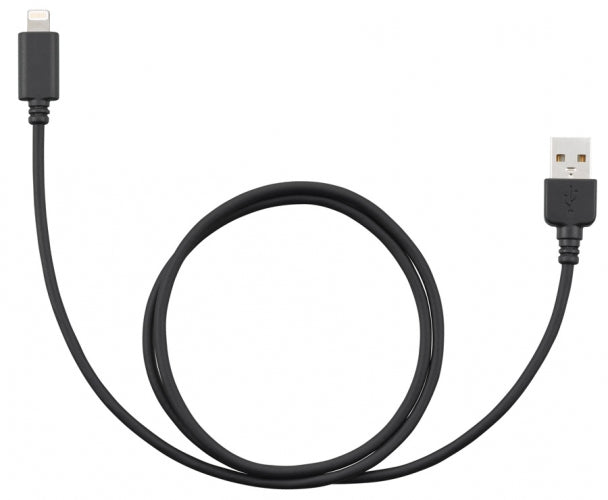 JVC KS-U62 Lightning - USB Cable