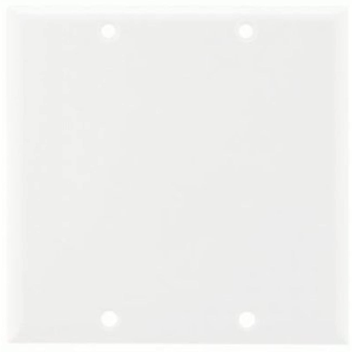 Icarus Blank Double Gang Wall Plate - White