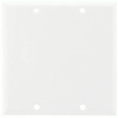 Icarus Blank Double Gang Wall Plate - White